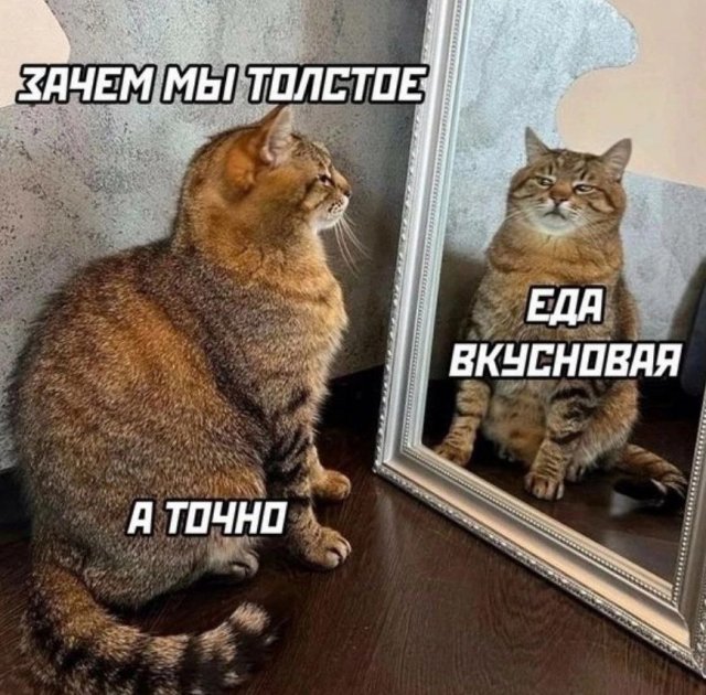 Самый смешной анекдот который рассмешит самого грустного человека. Technology meme. Шутки 2025. Смешные анекдоты. Шутки 2025.