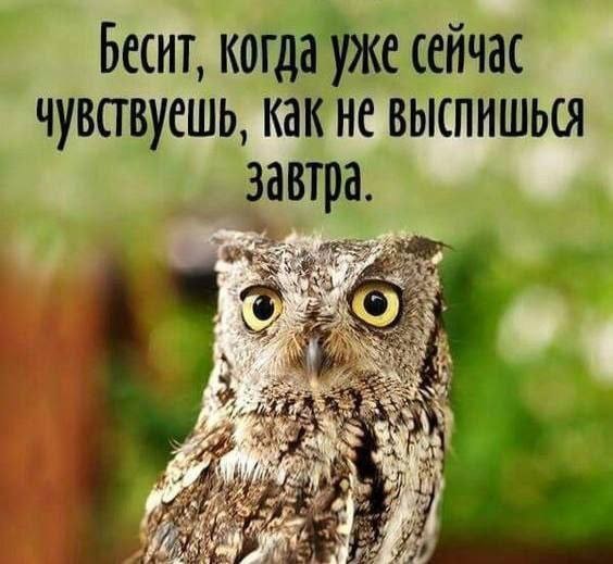 Пятничная дичь