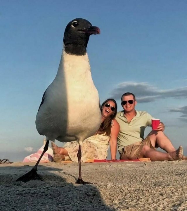 Так себе картинки 24.09.25