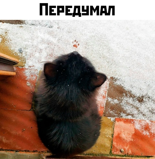 Картинки для деградации 100 (разной степени свежести)