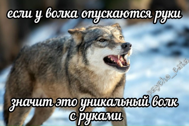 Всех с Новым годом!