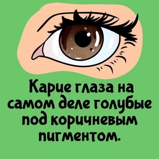 Интересные и короткие факты,на все случаи жизни 23.10.26