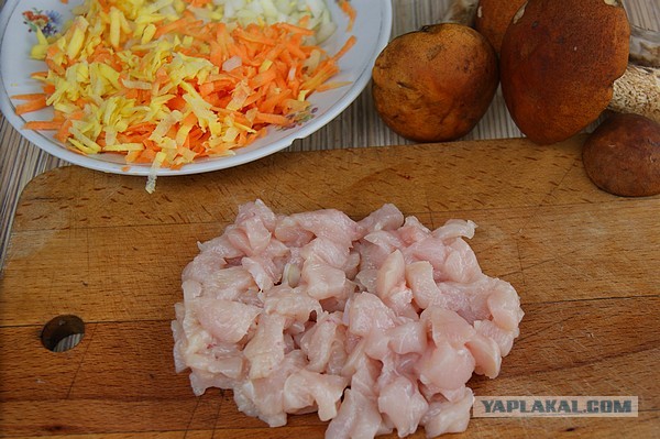 Ракушки фаршированные, Подосиновиками и курицей