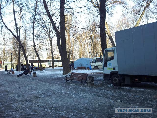 "Георгиевские " ленточки против флагов УПА