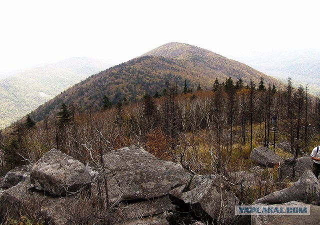 Природа Приморского края