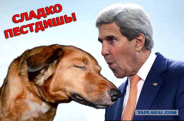 Собака-много чего умяка