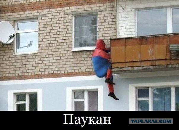 Немного позитива на пятницу.
