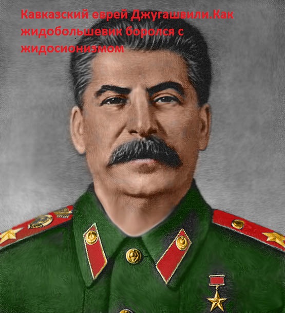 Более половины россиян поддержали Сталина