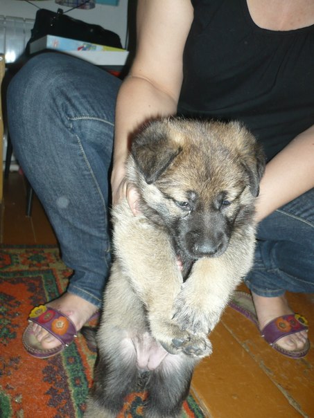 Цобакин четверг