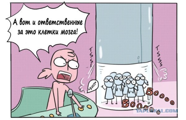 Клетки мозга облажались!