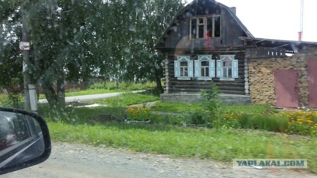 Черника форте