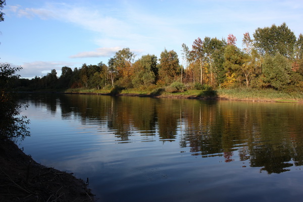 Золотая осень