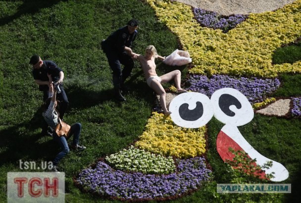 Femen пристроили талисманам Евро-2012 гениталии