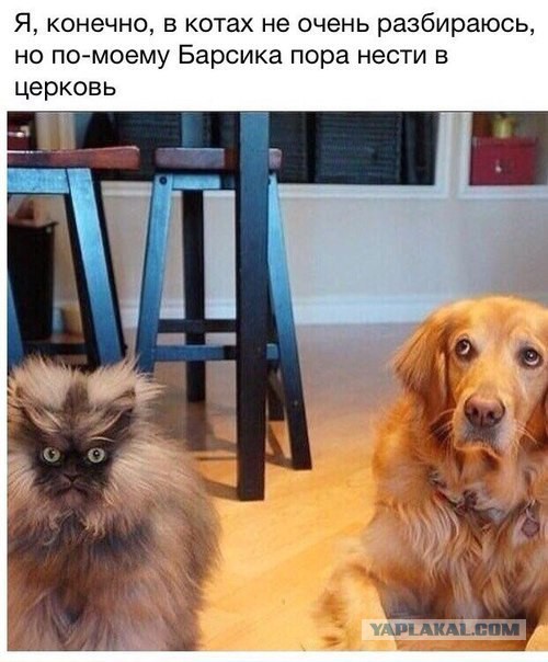 Картинки, надписи