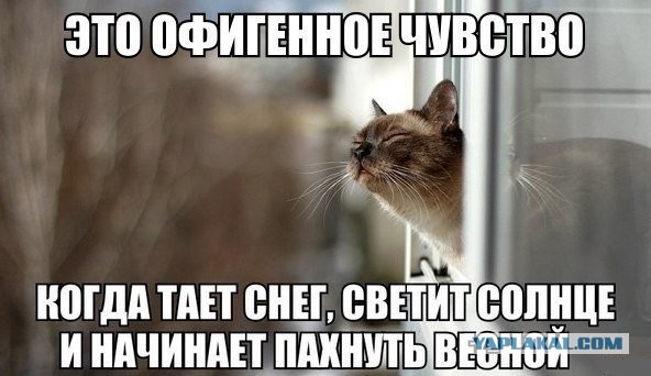 Очередная подборка картинок из сети