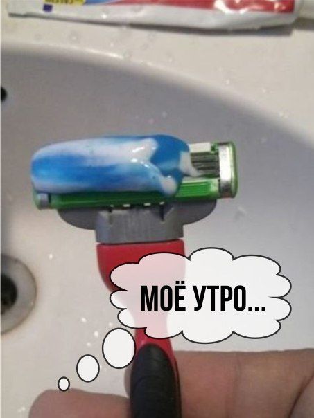 Веселые и забавные картинки