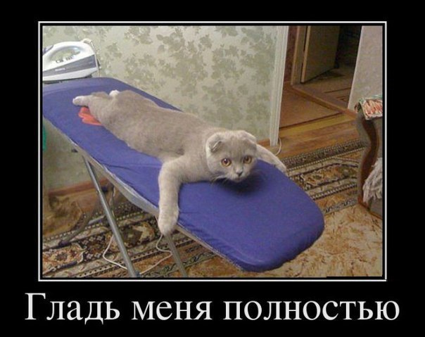 Картинки из сети, подборка