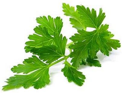 Газ-67 в полевых условиях