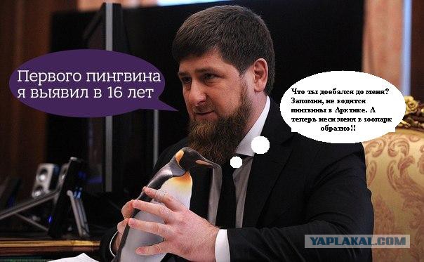 Кадыров заявил, что чеченский спецназ выявил шпионов в Арктике