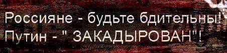 Табличка Маннергейму и мост Кадырову, первые результаты