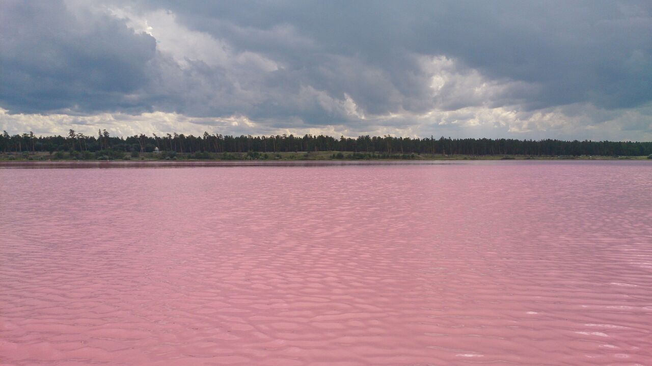 Розовое озеро на алтае где находится