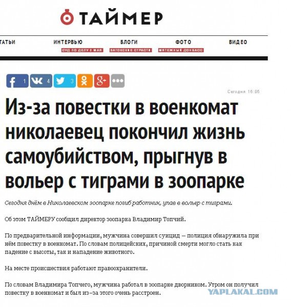 Картинки из ваших интернетов