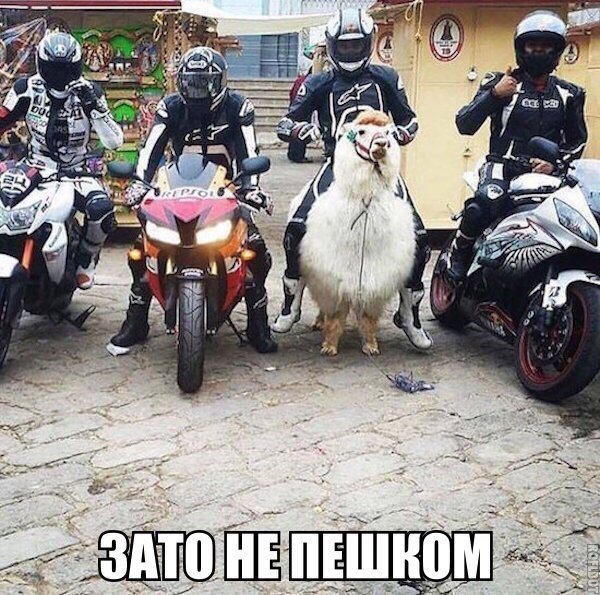 Отупляющие приколы
