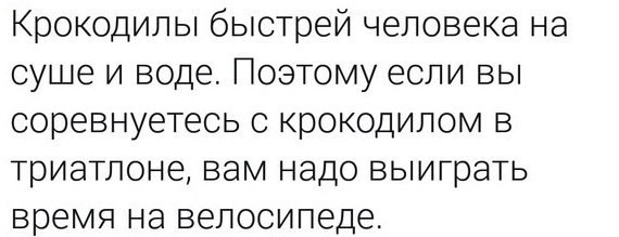 Подборка перлов и высказываний