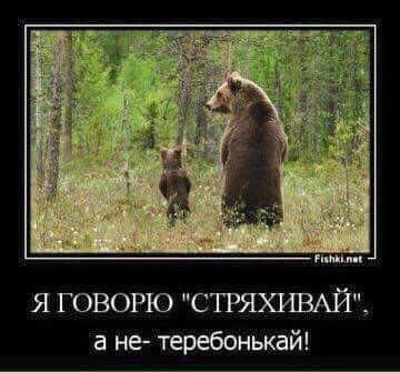 Подборка интересных и веселых картинок