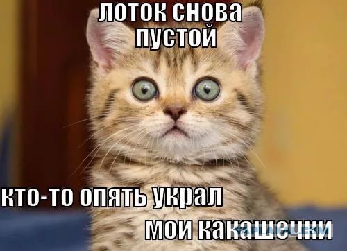 Путин пожаловался на загадочный сбор биоматериала всех россиян