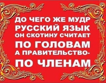 Что "оракул" Жириновский предлагает