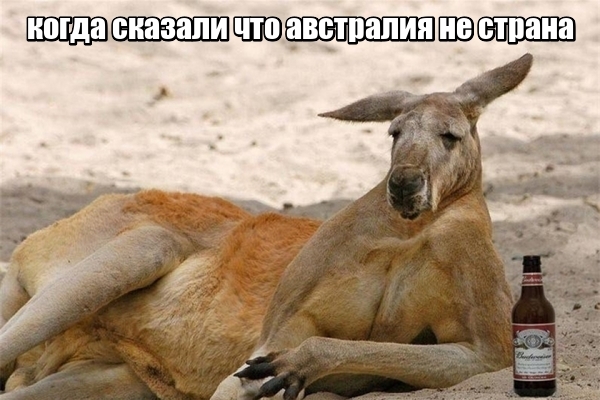 WTF: что тут происходит?
