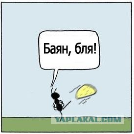 Как "опять в субботу работаем"?!