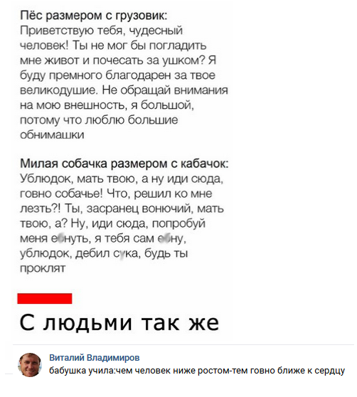 Прикольные комментарии и высказывания из Сети 09.01.2019
