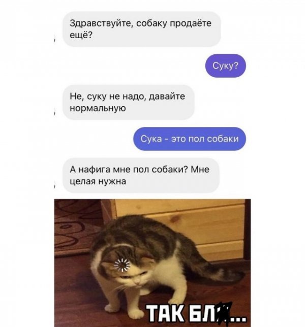 Картинки и мемы для настроения 002