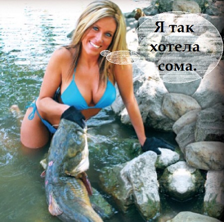 Продрючился с сомом