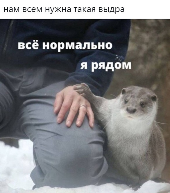 Так себе картинки 27.04.22