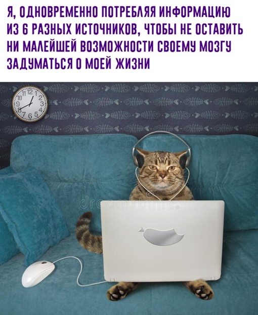 Картинки и мемы для настроения - 19
