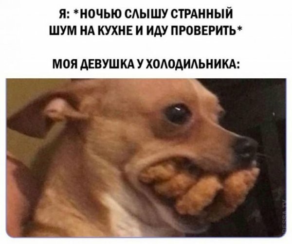 Не бейте баяниста - играет, как может