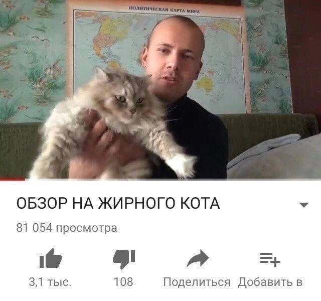 Всего понемногу. От 17.11.23