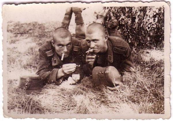 Кто воевал на стороне Гитлера