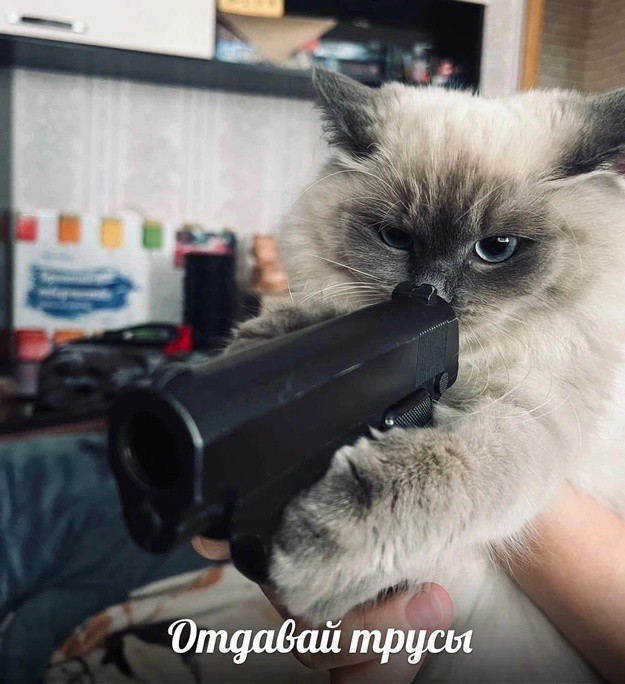 Всего понемногу. От 31.07