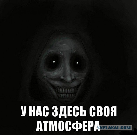 Аккордеоны