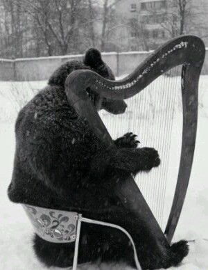 Все в порядке