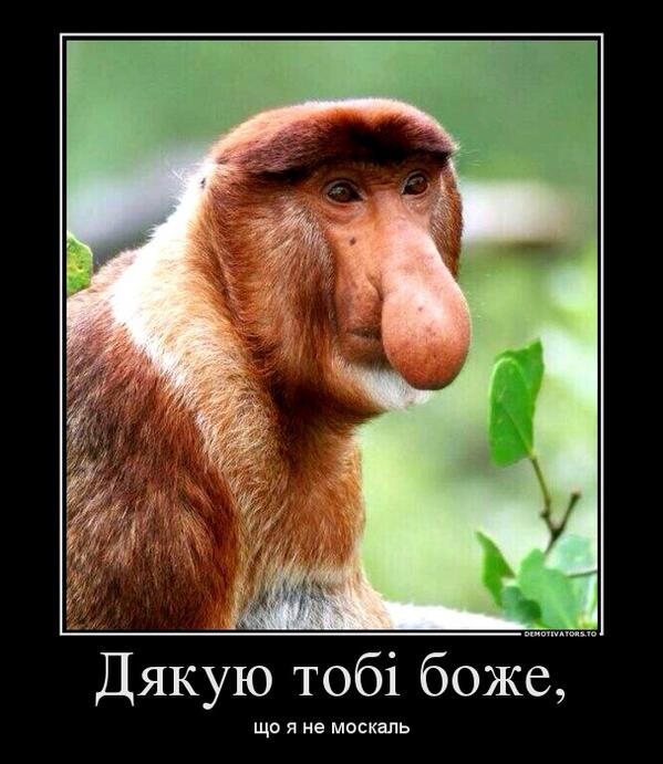 Шарий про украинские СМИ