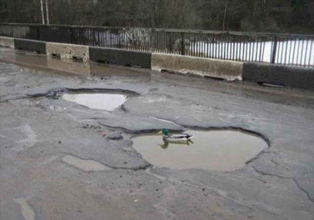 Весёлые картинки