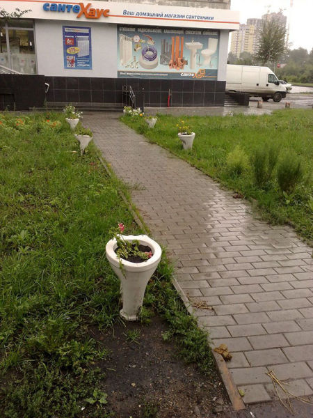 Весёлые картинки