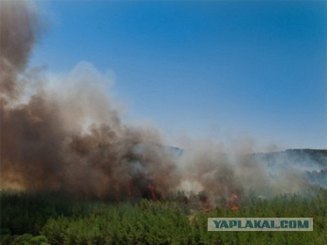 Пожар на севере Израиля