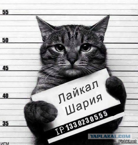 Невеселые картинки