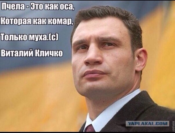 Ты не ты...